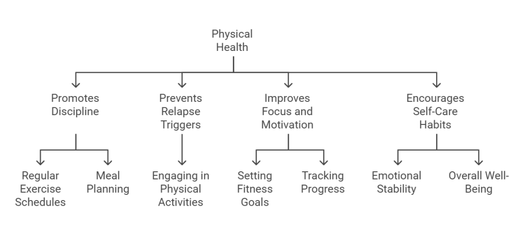 Infographic showing how physical health supports healthy routines and structure in alcohol addiction recovery: promoting discipline, preventing relapse triggers, and encouraging self-care habits.