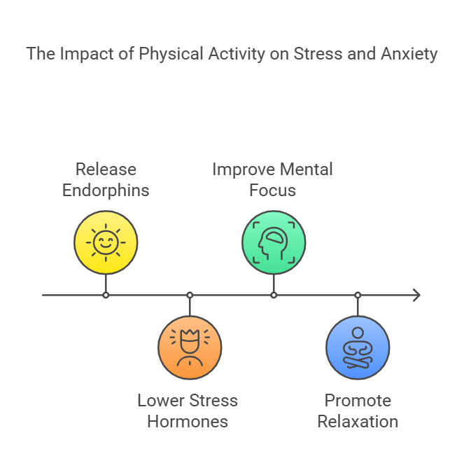 Infographic showing how physical activity helps reduce stress and anxiety: releasing endorphins, improving mental focus, lowering stress hormones, and promoting relaxation during alcohol recovery.