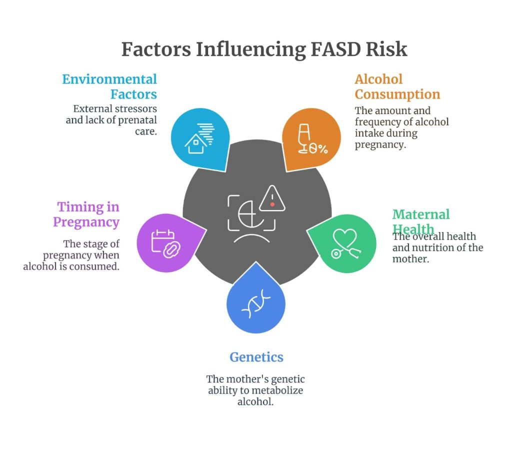 Infographic showing factors influencing the risk of Fetal Alcohol Spectrum Disorders (FASDs), including environmental factors, alcohol consumption, timing in pregnancy, maternal health, and genetics.