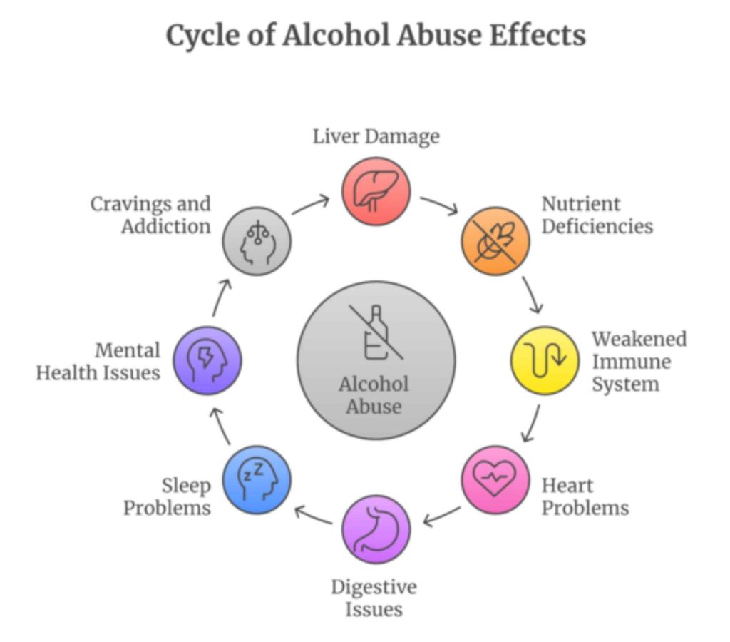 Infographic showing the cycle of alcohol abuse effects on the body and mind, highlighting impacts on liver, heart, mental health, digestion, and overall body systems, leading to addiction and deterioration.
