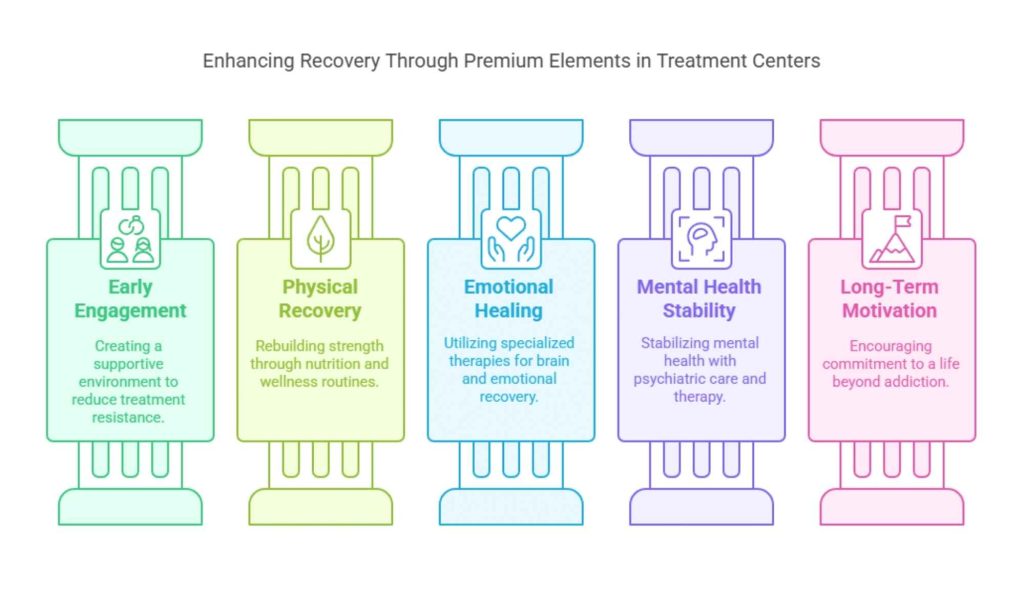 Chart illustrating how premium treatment elements elevate the recovery process for heroin addiction.