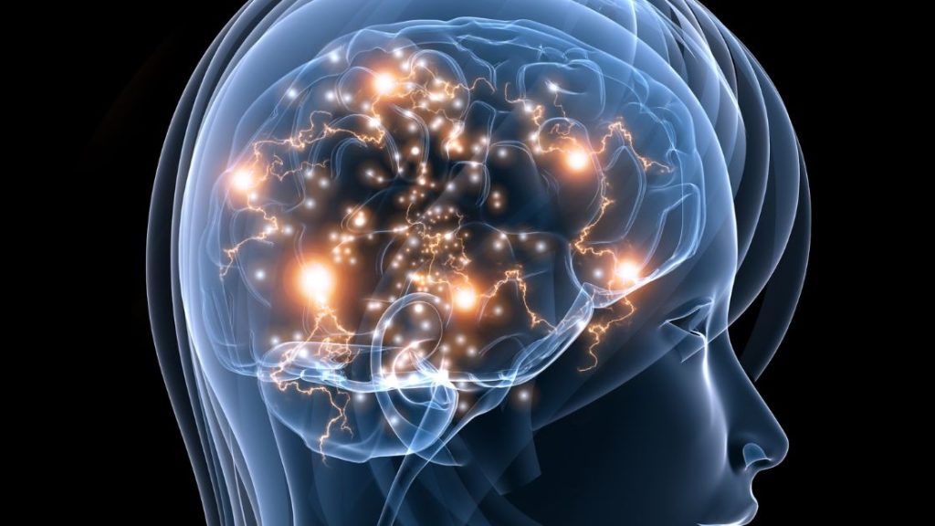 The Science of Sobriety: How Alcohol Recovery Rebuilds Your Brain Chemistry