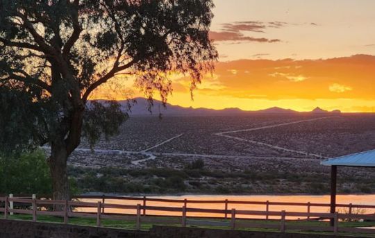 Bullhead City Rotary Park for Adults