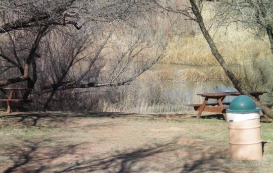Rezzonico Family Park for Adults in Camp Verde
