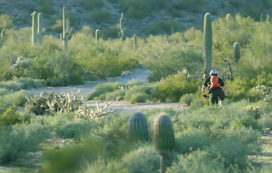 San Tan Mountain Regional Park for Adults