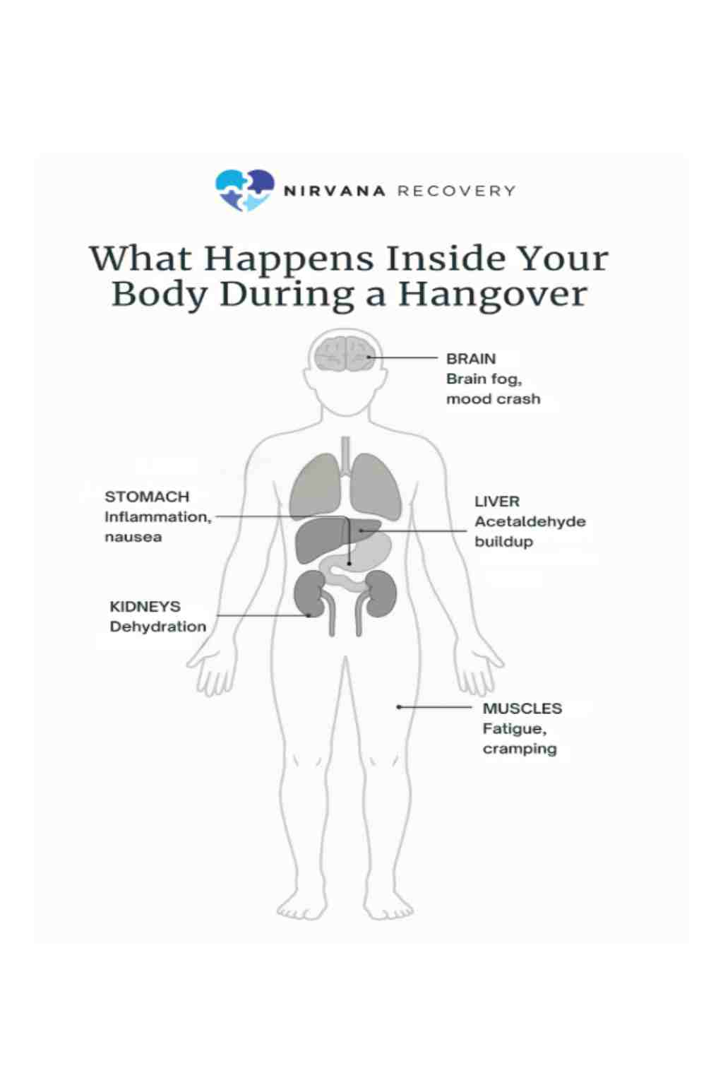 Diagram of human outline highlighting: brain fog/mood crash, stomach inflammation/nausea, liver acetaldehyde buildup, kidney dehydration, muscle fatigue/cramping.