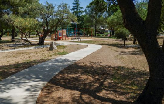 Oracle Park for Adults